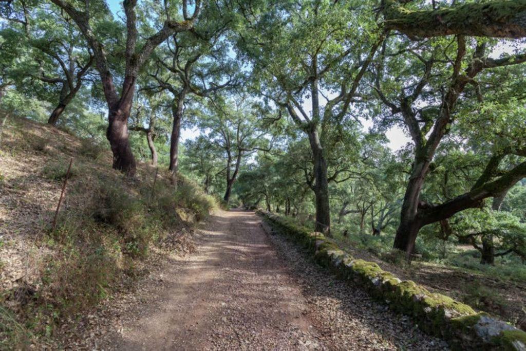 Finca Montemateo Navahermosa  エクステリア 写真